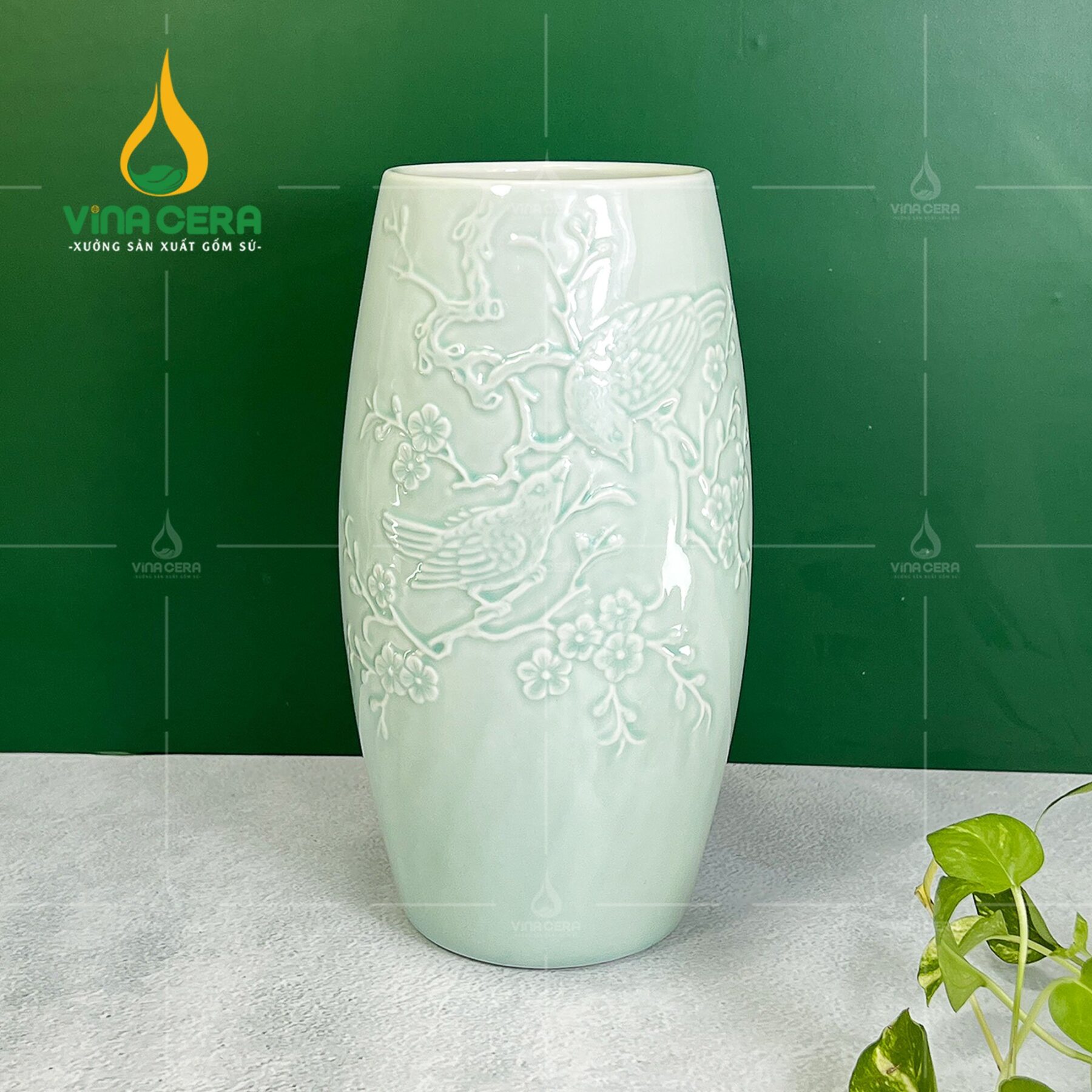 Lo hoa men xanh khac noi sen chuon 2