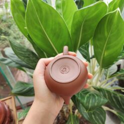 Ấm Trà An Thổ Túc Tây Thi-150ml Ấm trà An Thổ Túc Tây Thi