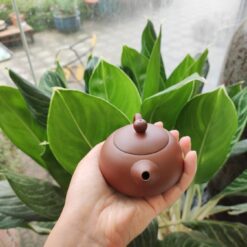 Bộ ấm trà An Thổ Túc Tây Thi 6 Chén ATT0571424 Ấm trà An Thổ Túc Tây Thi